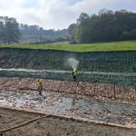 Hidrosjetva – savremeno rješenje za brzo i kvalitetno ozelenjavanje